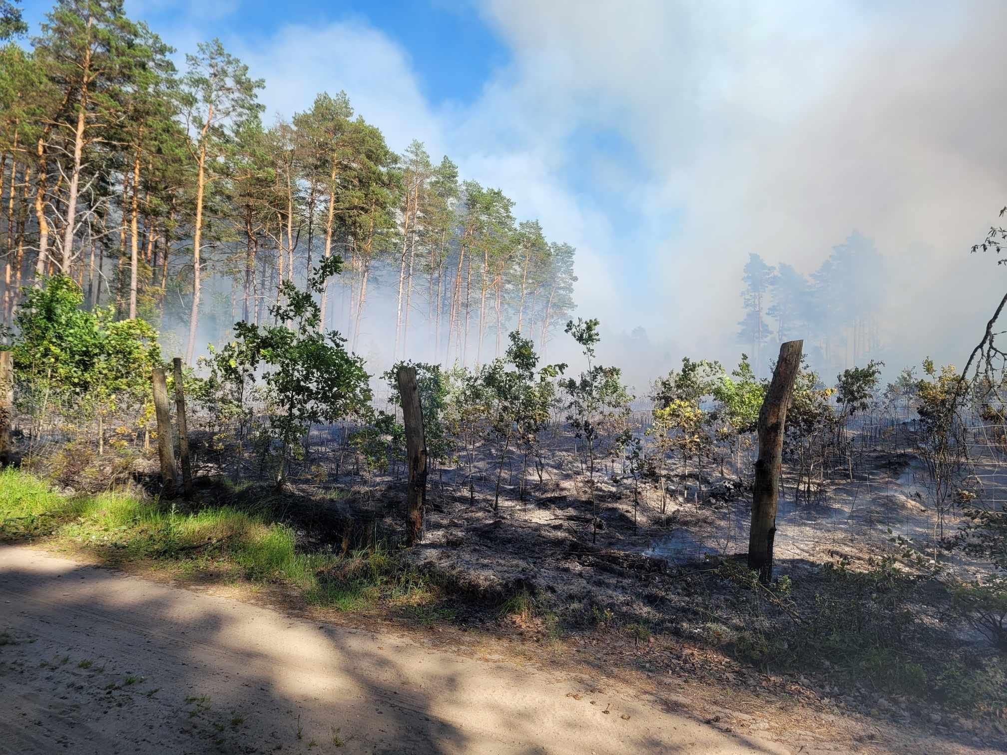 źródło: Nadmorski24.pl